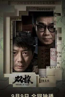 《双探》影评：硬汉刑警的冰雪迷踪，真相背后的人性挣扎与救赎